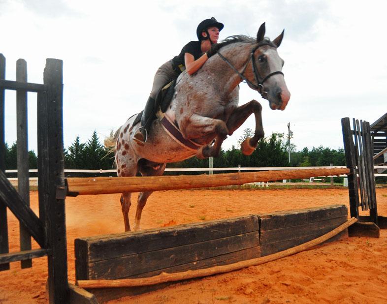 Senior marketing and business management major and president of the equestrian club Katelyn Young practices jumping at the Foothills Equestrian Center. Joey Johnson | The Appalachian