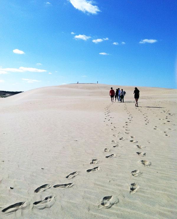 Students participating in the alternative fall break trip to Nags Head explore Jockey's Ridge State Park. The group spent the break at Nags Head volunteering with the Nature Conservancy and visiting the wildlife preserves in the area. Maggie Cozens | The Appalachian