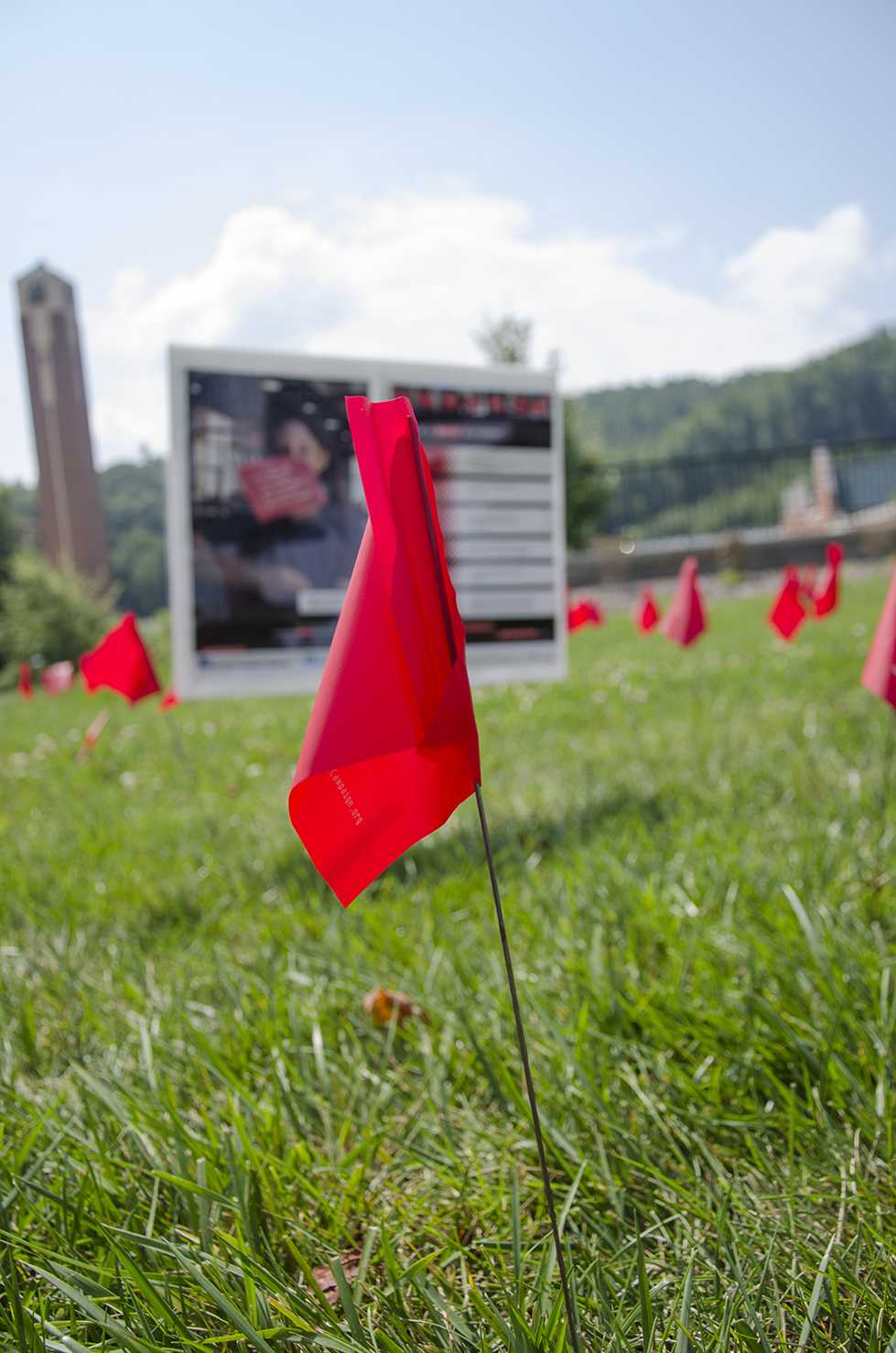 Red flags and informational signs dot the field in front of Central Dining Hall. The flags represent those who have been victims of  sexual and dating violence. Photo by Justin Perry  |  The Appalachian