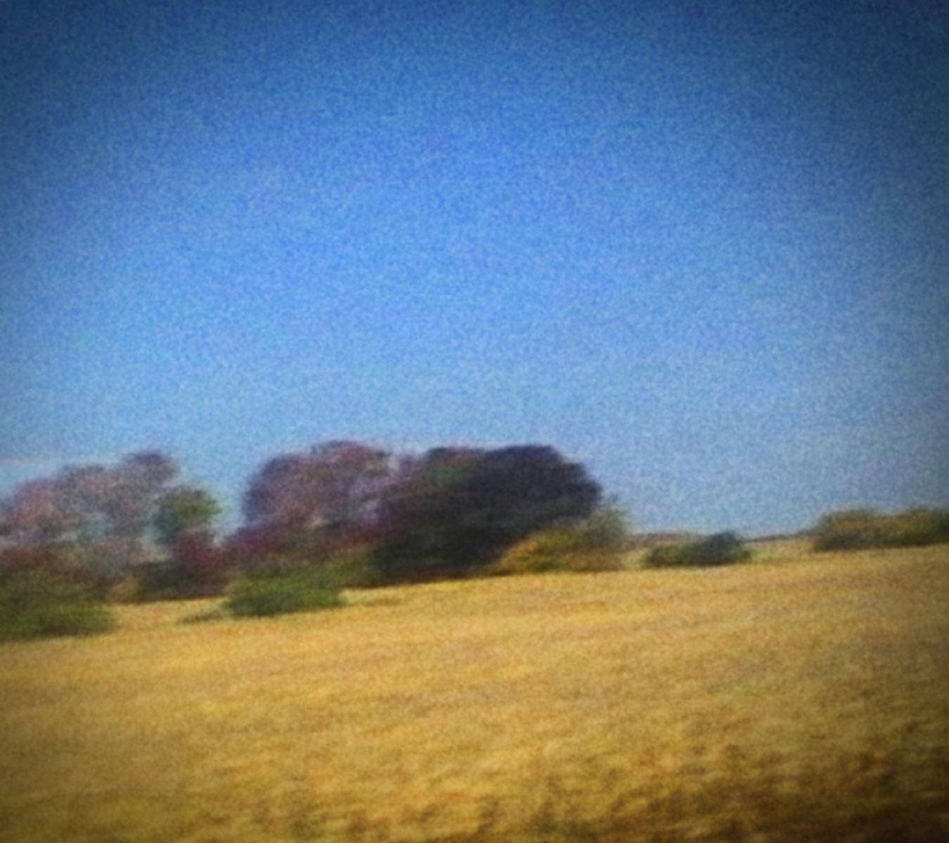 Benjisunkilmoon