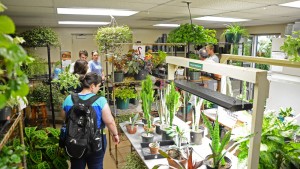 Community members browse the Fall 2014 Plant Sale Friday afternoon. The sale took place in the Biology Greenhouse and included tropical and succulent plants grown by students and volunteers. Photo by Olivia Wilkes | The Appalachian